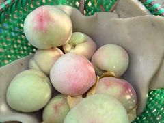 -老袁家蜜桃农场·阳山水蜜桃