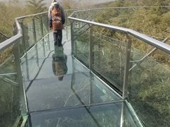 -陶祖圣境风景区