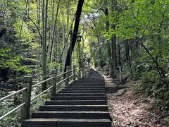 -韬光茶庵