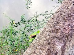 -韩湘水博园