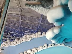 -烟台海昌鲸鲨海洋公园