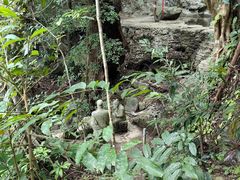 -七仙岭温泉国家森林公园