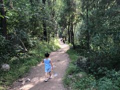 -碓臼峪自然风景区