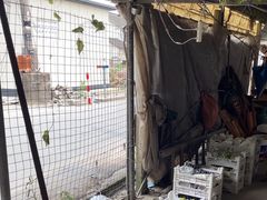 -马陆小张葡萄园农家乐