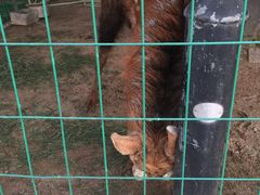 -八景休閒山莊  廣東十大名山莊