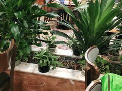 -巴依老爷新疆美食(望京小街店)