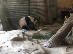 -常州淹城野生动物世界
