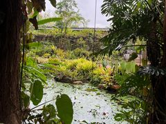-中国科学院西双版纳热带植物园