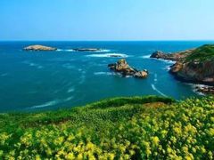 -花岙岛