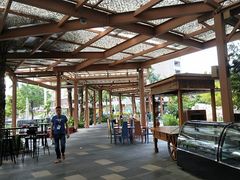 -亚马逊丛林水乐园