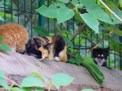 -北京西山国家森林公园