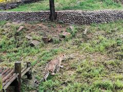 -西霞口神雕山野生动物世界