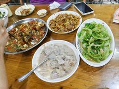 -遇龙河大樟树农家乐