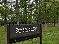 -汉长安城未央宫国家考古遗址公园