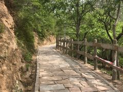 -大岭沟猕猴桃谷风景区