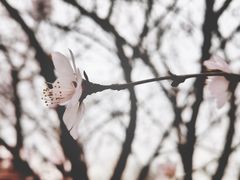 -三里河公园