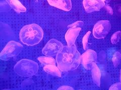 -厦门海底世界