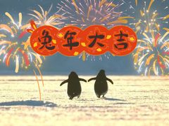 -面尚香关中面馆(西荷店)