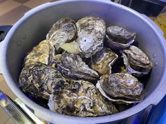 -千岛蚝高压锅生蚝·人参火锅(白云万达店)