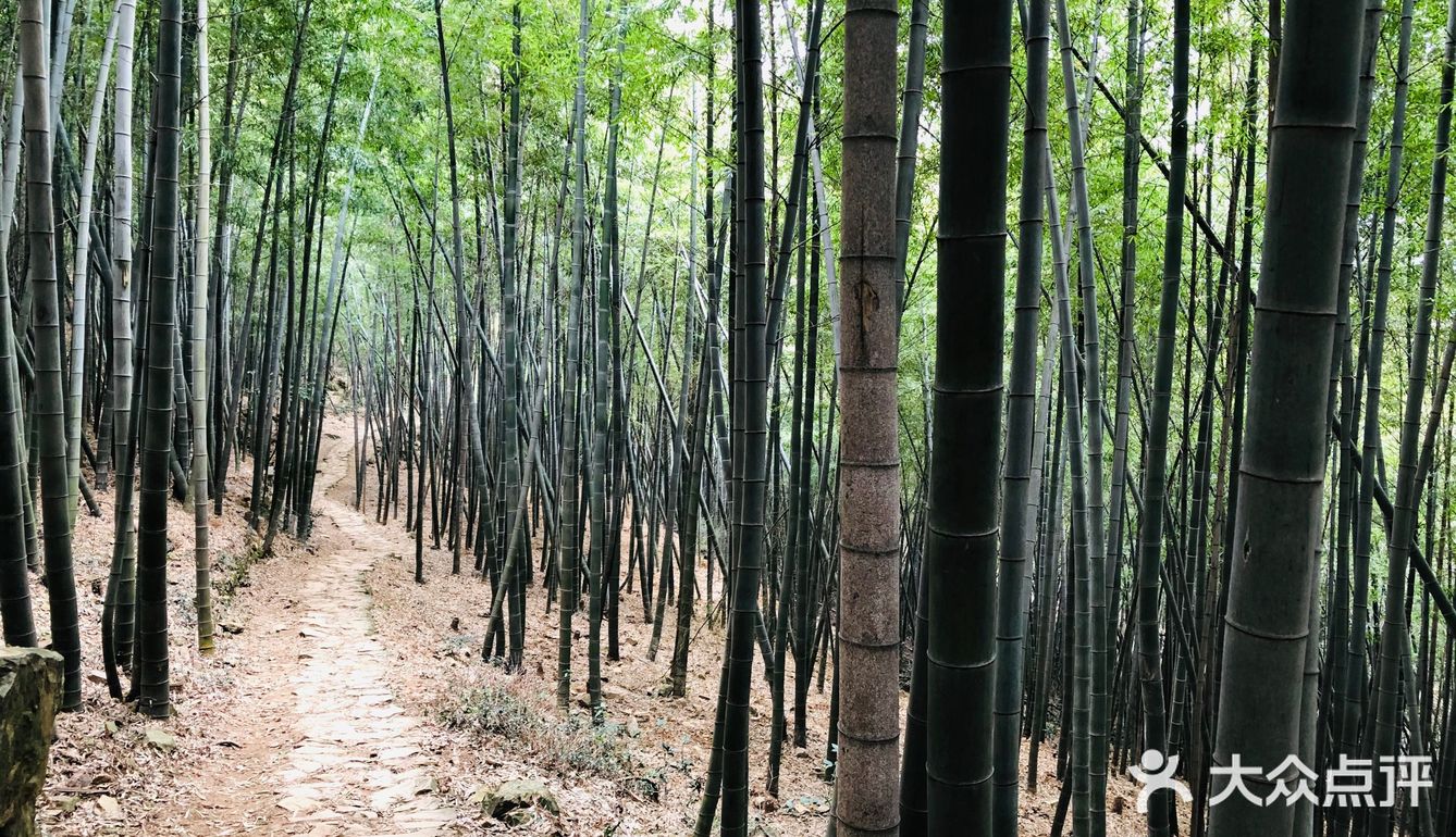 嘉兴最高峰·高阳山|海拔251.6m