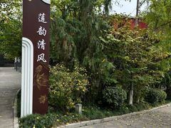 -莲湖公园