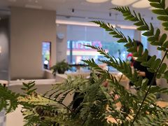 -隅乐胡椒虾·台湾菜·团建(皇岗店)