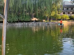 -团结湖公园