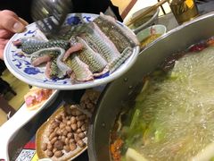 -金龙·打边炉(武进路店)