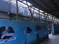 -纳吉亚猫专科动物诊疗中心(蒋宅口分院)