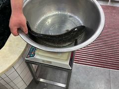 -老四川平头酸菜鱼(衙前店)