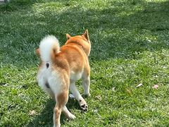 -Supine Bistro溯泮餐厅