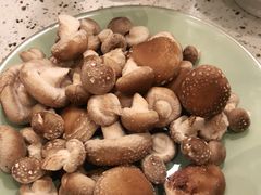 鲜活菌菇棒-椰子营·椰子鸡火锅(万象里店)