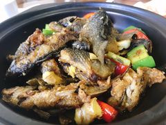 禾花鱼-山坑河鲜(昆仲楼店)