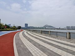 -星光岛