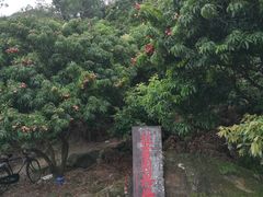 -江门古兜温泉小镇
