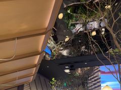 -桂满陇·海市蜃楼·黑金(国金店)