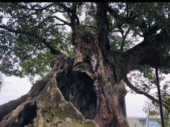 -新安江山水画廊风景区