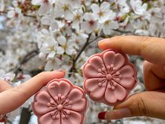 -珈境湖畔餐厅·湖北菜·江浙菜•樱花季(西北湖店)