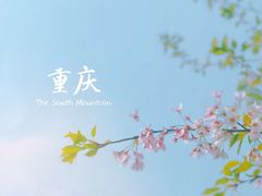 -南山植物园