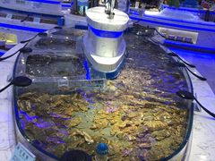 -澜悦港海鲜体验主题餐厅
