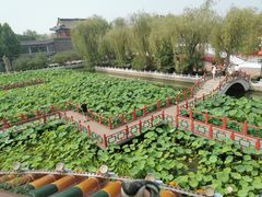-大明幻境第一城
