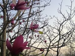 -广州市白云山风景名胜区