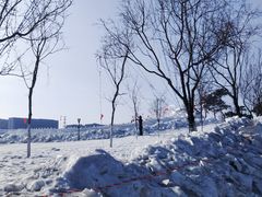 -长春世界雕塑园冰雪艺术天地