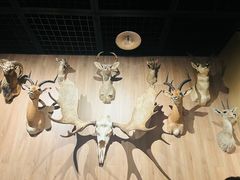 -陕西自然博物馆