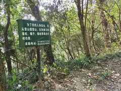 -紫金山山顶公园
