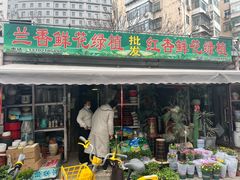 -登发花鸟鱼虫市场
