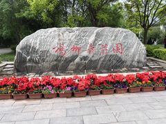 -杨柳青庄园