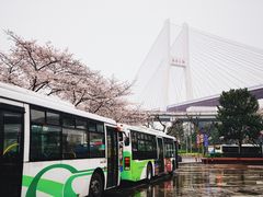 -上海南浦大桥长途旅游客运站