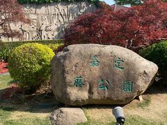 -嘉定紫藤园