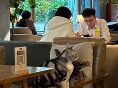 -咖法森林·咖啡  酒吧(天河店)